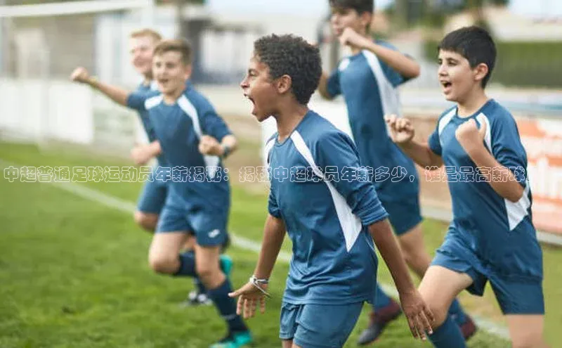 门徒注册平台华扬联众中超普通足球运动员年薪揭秘：揭秘中超球员年薪多少，谁是最高薪球员？