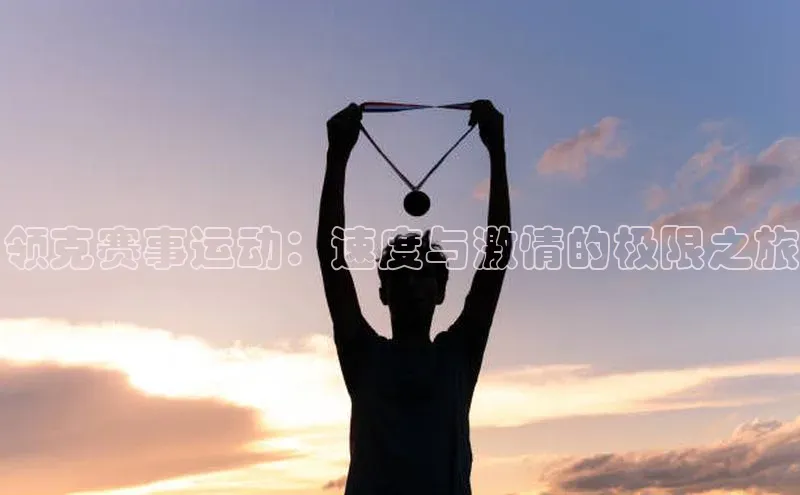 领克赛事运动：速度与激情的极限之旅