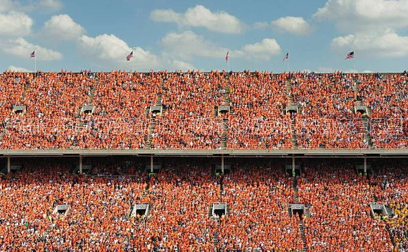 英超争胜与足球重启：疫情下的激烈对决和恢复展望