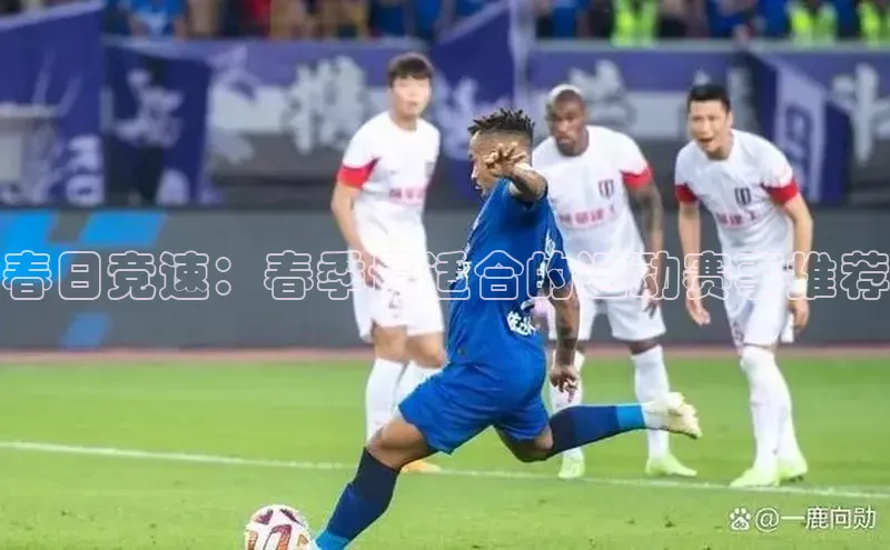 春日竞速：春季最适合的运动赛事推荐