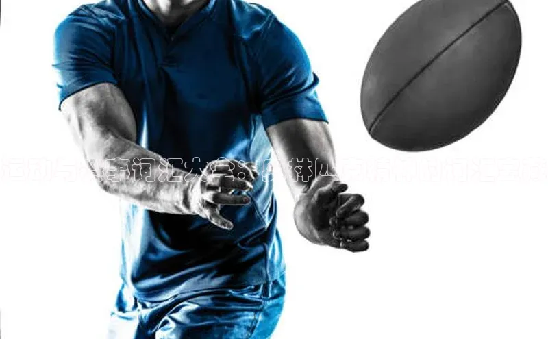 运动与赛事词汇大全：奥林匹克精神的词汇宝藏