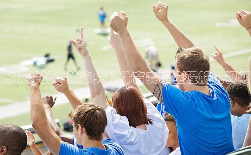 高清解封：独家央视体育赛事全程解说视频