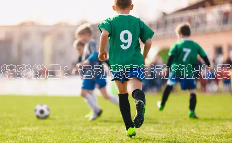 精彩纷呈：运动赛事活动简报概要