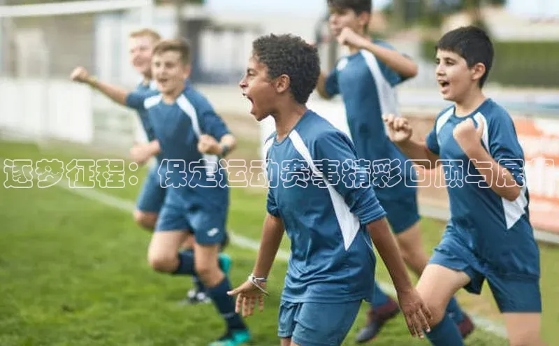 逐梦征程：保定运动赛事精彩回顾与展望