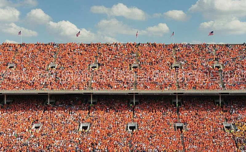 智享未来：杭州智能运动会的精彩瞬间与挑战