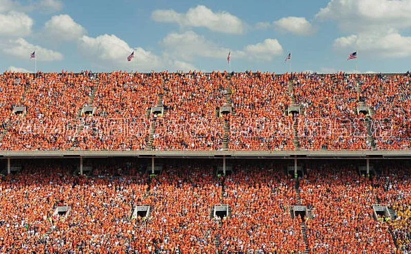 2024成都国际马拉松：赛道的优雅与激情