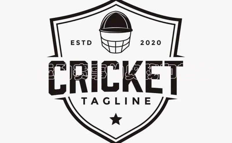 ：运动赛事的奥秘和魅力